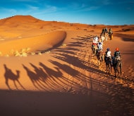 Top Itineraries